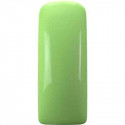 GEL POLISH   Amla Green 15ML