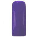 Gel Polish Glass Purple